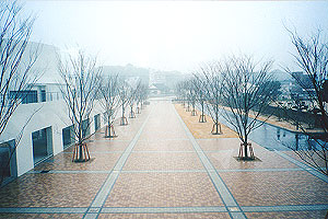 福岡県立大学 植栽工事イメージ1